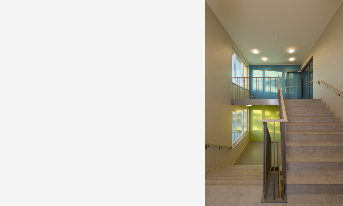 Copyright Michael Miltzow 2015 NOV8365.jpg